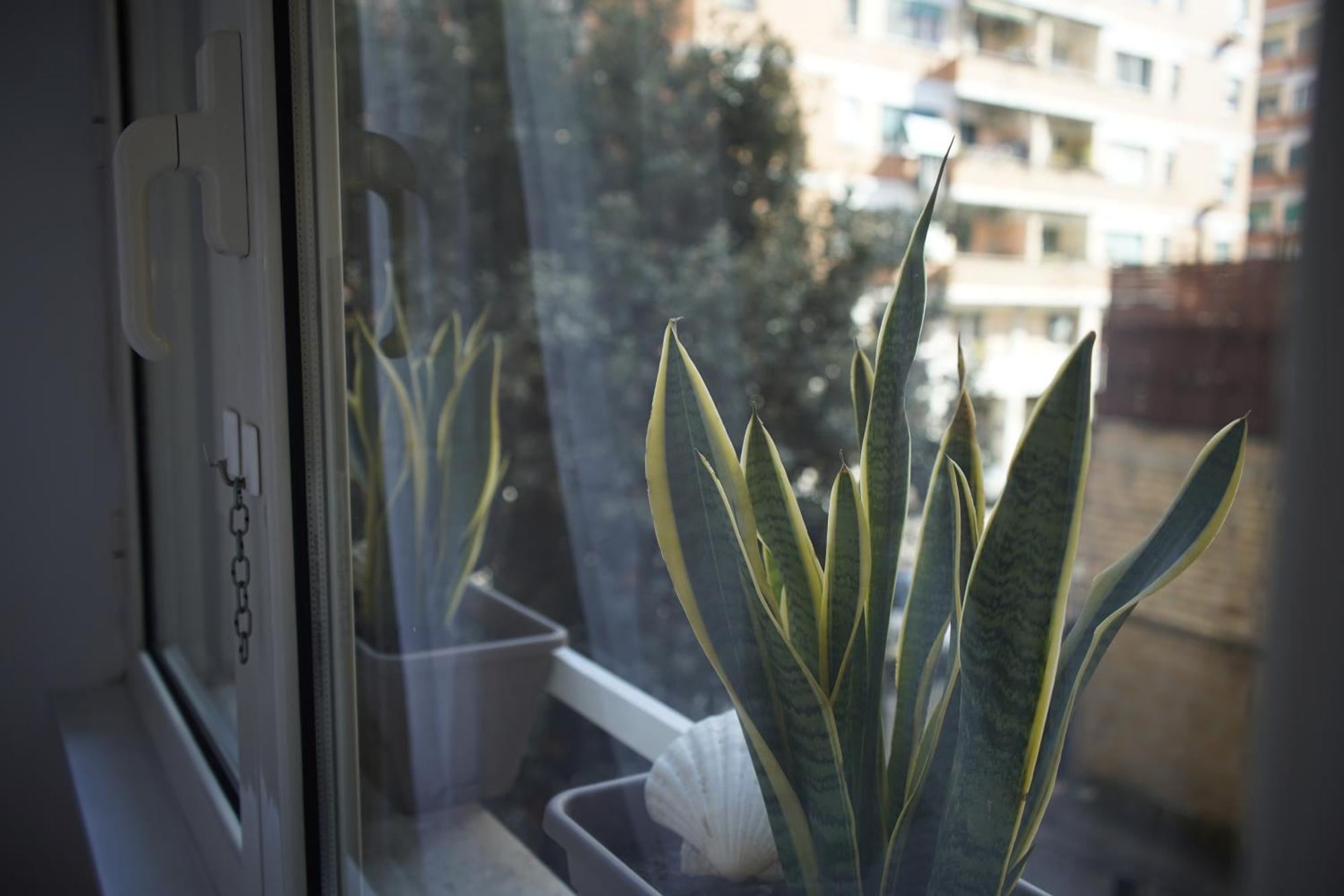 Apartment Hope